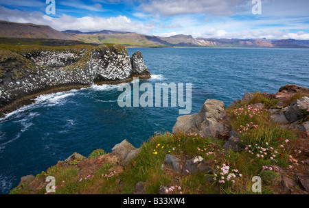 Una vista da scogliere di Arnarstapi sulla penisola di Snaefellsness, Islanda Foto Stock