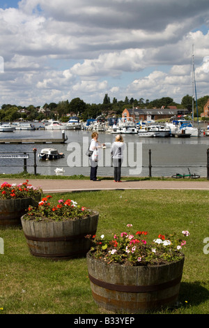 Oulton ampia parte del Norfolk Broads suffolk East Anglia England Regno unito Gb Foto Stock