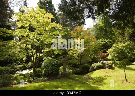 Regno Unito Cheshire Knutsford Tatton Hall Giardini Giardino Giapponese Casa da tè in ombra di alberi di Acer Foto Stock
