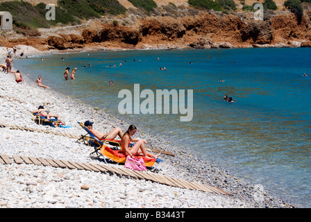 Lucertole da mare sulla spiaggia di Plaka vicino a Elounda Agios Nikolaos lashithi Creta Grecia Foto Stock