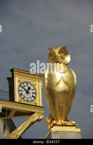 Città di Leeds, Inghilterra. Vista ravvicinata del John Thorp Gufo reale con il Leeds Sala Civica di orologio d'oro. Foto Stock