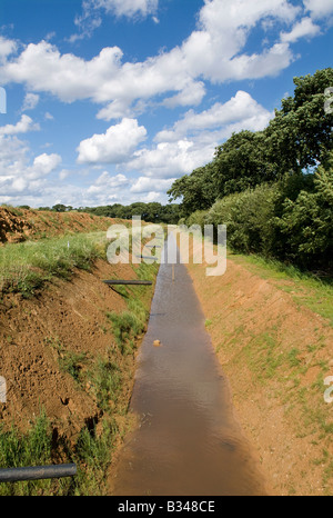 Fresco di drenaggio scavato dyke, Norfolk, Inghilterra Foto Stock