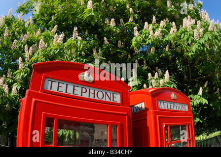 Tradizionale in rosso le cabine telefoniche con la corona, close-up, Londra Foto Stock