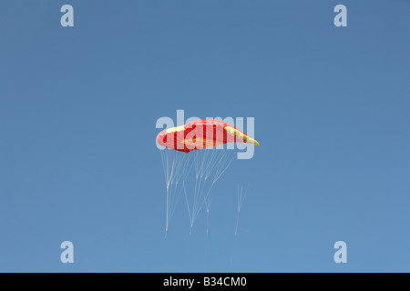 Ala Rossa FOIL KITE contro un blu cielo chiaro Foto Stock