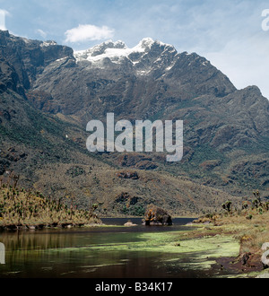 In Uganda, Uganda occidentale Rwenzori Mountains. Il lago Bujuku, 12.900 piedi, con le cime innevate del Monte Stanley (16,763 piedi) in background. Margherita vetta di Monte Stanley è la più alta del Rwenzori Mountain Range.il Rwenzori Mountain Range è il solo coperte di neve a sud di gamma dei monti Atlas in sub-sahara Africa. Esso ha un unico afro-montane vegetazione a causa di una combinazione di altitudine elevata piovosità e quasi costante di cloud-coperchio con inzuppando nebbie. Foto Stock