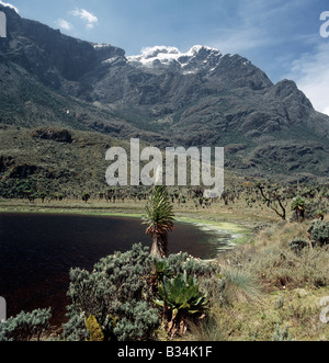 In Uganda, Uganda occidentale Rwenzori Mountains. Il lago Bujuku, 12.900 piedi, con le cime innevate del Monte Stanley (16,763 piedi) Foto Stock