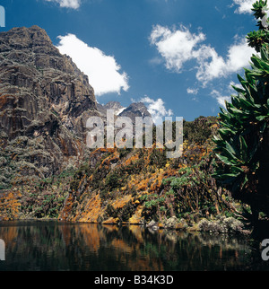 In Uganda, Uganda occidentale Rwenzori Mountains. Lago Kitandara (nord) (13,200 piedi), con il Monte Stanley (16,763 piedi) in aumento nella distanza. I ripidi pendii che conducono in basso verso il lago sono coperti con i muschi, albero Senecios, o gigante Groundsels e albero eriche. Foto Stock