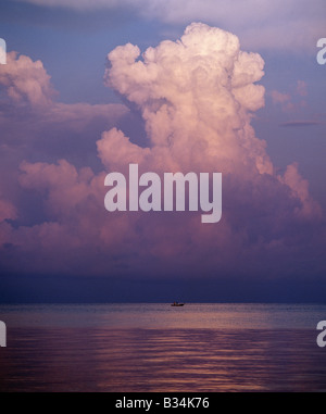 In Uganda, il lago Albert, Butiaba. Enorme thunderclouds costruire fino all'alba sul lago Albert, promettendo di tempeste e mareggiate più tardi nel giorno.Il lago Albert si trova a 2.030 metri sopra il livello del mare e si trova a 100 miglia e lungo circa 25 miglia di larghezza. Le sue acque sono leggermente alcalino dovuto allo scarico da hot springs lungo le sue coste orientali. Foto Stock