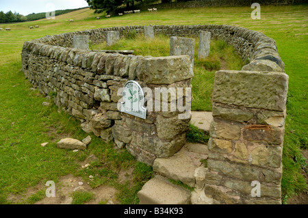 Riley tombe in Eyam, Inghilterra, luogo di sepoltura della famiglia Hancock, appestati Foto Stock