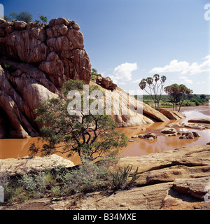 Kenya, Isiolo, Shaba. Il Uaso Nyiru fiume ( un nome adattato dal nome Masai per esso, Ewaso ng'iro significato il rosso fiume di acqua) fluisce attraverso una spettacolare gola in Shaba Riserva nazionale del Kenia settentrionale. Foto Stock