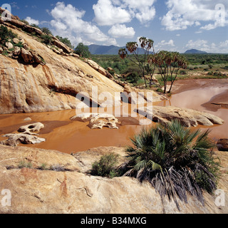 Kenya, Isiolo, Shaba. Il Uaso Nyiru fiume ( un nome adattato dal nome Masai per esso, Ewaso ng'iro significato il rosso fiume di acqua) fluisce attraverso una spettacolare gola in Shaba Riserva nazionale del Kenia settentrionale. Foto Stock