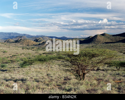 Kenya, Samburu district, Leserikan. Semi-arido thorn scrub descrive meglio la vegetazione del nord Samburuland dove semi-pastori nomadi eke fuori una vita da un serissimo terra. La regione è caratterizzata da grand vistas, terreni poveri e una pioggia inaffidabile. Il Ndoto montagne può essere visto in lontananza. Foto Stock