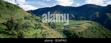 Kenya, Kabarnet, Tugen Hills. Bella nazione agricola nel Tugen Hills, un enorme blocco di guasto in piedi nel centro di Gregory Rift. Il Gregory Rift, una importante sezione del braccio orientale dell'Africa Great Rift Valley che si estende attraverso il Kenia e la Tanzania settentrionale, è stato chiamato dopo il Professor Gregorio che hanno identificato la formazione geologica della Rift, e ha coniato il termine Great Rift Valley, durante il suo viaggio pionieristico della scoperta di Lake Baringo nel 1892-3.. Foto Stock