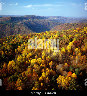 Antenna della Bluestone River Gorge da Pipestem Resort parco statale, Virginia, Stati Uniti d'America, in autunno Foto Stock