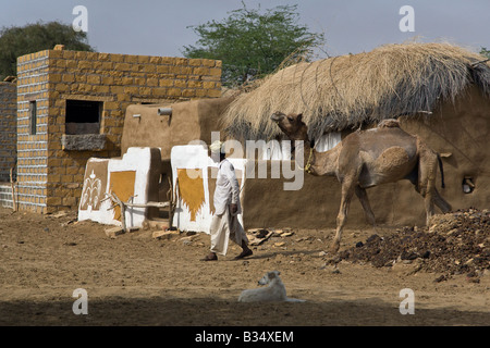 Un tribesman cammina il suo cammello Camelus dromedarius nel suo villaggio nel deserto di Thar vicino a Jaisalmer Rajasthan in India Foto Stock