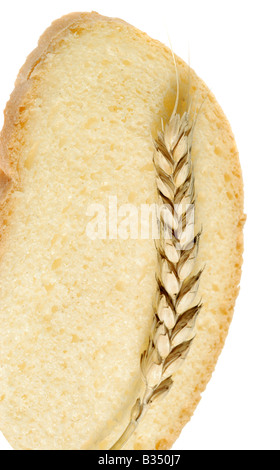 Frumento e tagliare il pane un maturo agricoltura isolato su uno sfondo bianco Foto Stock