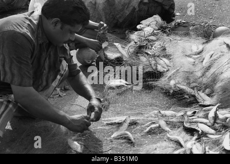 Fishemen presso un mercato del pesce separazione dell sardine dalla rete Foto Stock