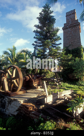 Rovine di El Molino, un vecchio mulino per lo zucchero nella città coloniale spagnola di Todos Santos, Baja California Sur, Messico Foto Stock