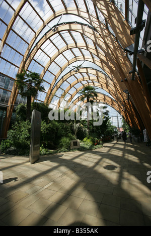 Città di Sheffield, in Inghilterra. Il premiato Sheffield giardino d'inverno del Glasshouse botanico al Millennium Square. Foto Stock