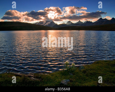 Un sunrise vista del Gran Paradiso rentire intervallo da Lago Rosset nel Parco Nazionale del Gran Paradiso, Alpi occidentali, Italia Foto Stock