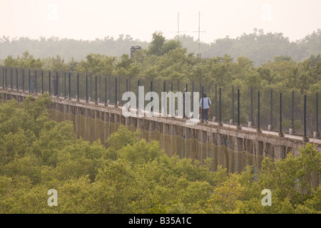 Due i visitatori a piedi attraverso uno dei passaggi pedonali del visitatore nel Sunderband Parco Nazionale. Foto Stock