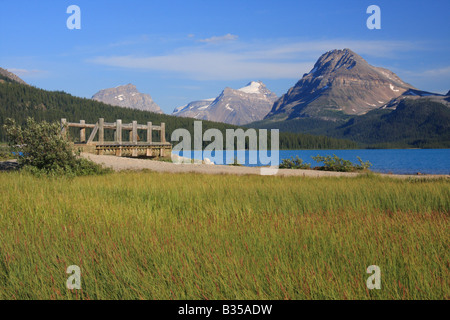 Bow Lake, il Parco Nazionale di Banff, Alberta Foto Stock