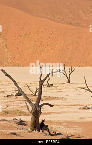 Uomo si siede tra i resti scheletrici di camel thorn acacia sul calcare e le dune di sabbia di Dead Vlei in Namibia in Africa Foto Stock