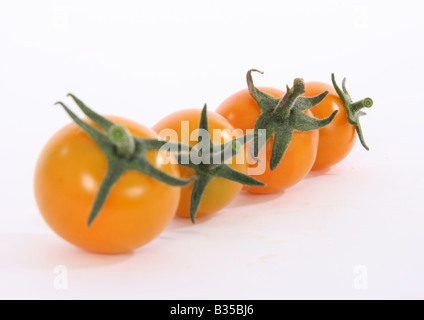 Cresciuto in casa organic 'sun oro' bitesize di pomodori ciliegini Foto Stock