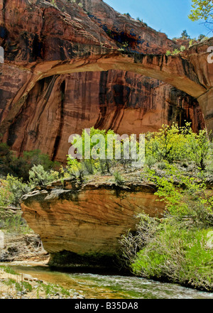 Escalante Ponte naturale Utah Foto Stock