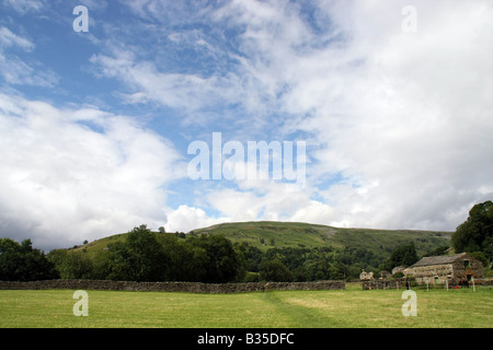 Prato in Swaledale superiore Foto Stock