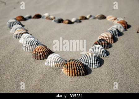 Cuore di conchiglie nella sabbia Foto Stock