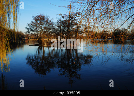 South Norwood Park - Lago di riflessione di alberi Foto Stock