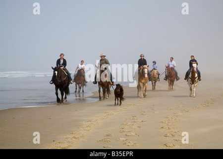 Equitazione cavalcare lungo una spiaggia misty in stato di Nehalem parco vicino Manzanita Beach Oregon Foto Stock