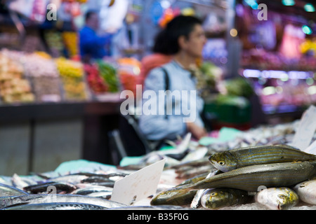 Spagna Barcellona pesce fresco sul display in La Boqueria produrre mercato cliente femmina Foto Stock