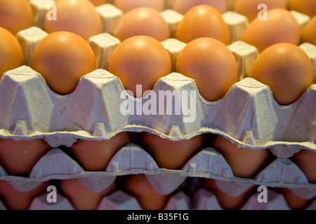 Spagna Barcellona righe di colore marrone le uova di gallina in mostra presso La Boqueria produrre segno del mercato in catalano Foto Stock