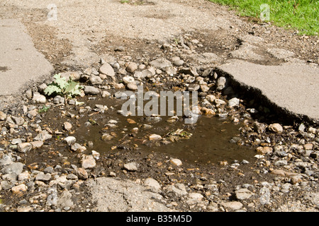 Foro del POT, UK. Foto Stock