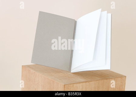 Libro Aperto sul bilanciamento del piedistallo, pagine vuote, close-up Foto Stock