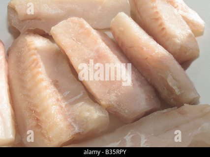 Mangiare sano di filetti di merluzzo giallo lo sbrinamento pronti per la cottura Foto Stock