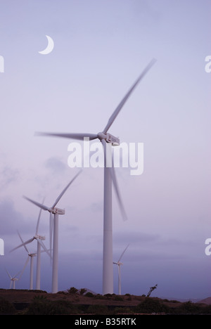 Le turbine eoliche al tramonto. Lanzarote Island. Isole Canarie. Spagna. Foto Stock