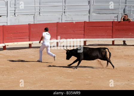 A caccia del Bull nell'arena romana di Arles, Francia Foto Stock