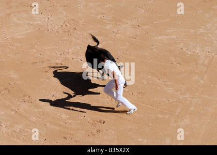 A caccia del Bull nell'arena romana di Arles, Francia Foto Stock