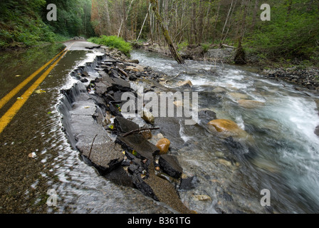 La sciacquatura della North Fork Skykomish River Road nello stato di Washington's Mount Baker-Snoqualmie National Forest. Foto Stock