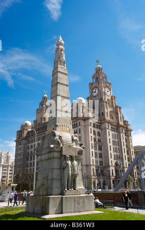 Il Liver Building Liverpool Regno Unito Foto Stock