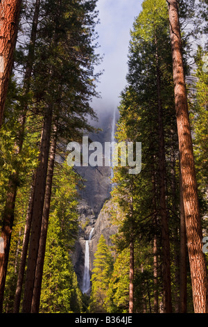 Superiore e inferiore di Yosemite Falls come visto dalla strada pedonale principale parco nazionale Yosemite in California USA Foto Stock