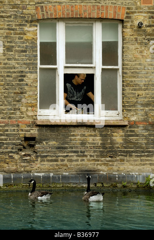 Grand Union Canal, Londra Visualizza anche se finestra dell uomo al lavoro in cucina mentre le oche canadesi attendere per il cibo Foto Stock