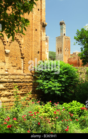 Il minareto e la tomba del sultano Abou al-Hassan Ali in alla necropoli di Chellah, Rabat, Marocco Foto Stock