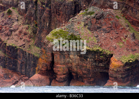 Il gigante aspre formazioni rocciose delle scogliere lungo Witless Bay Terranova in Canada Foto Stock