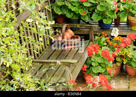 Sedia da giardino in estate arbor dopo la pioggia con gerani e gli elementi del giardino NORFOLK REGNO UNITO Agosto Foto Stock