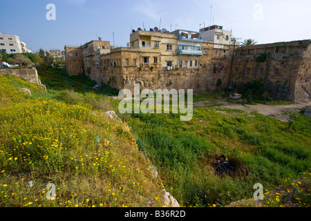 Outter mura del castello crociato a Tortosa Tartous in Siria Foto Stock