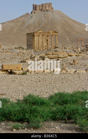 Antico romano tempio funerario e il castello arabo Qalaat Ibn Maan in Palmyra Siria Foto Stock